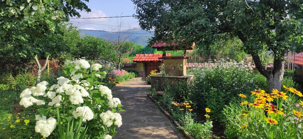 Villa Хаджикольовата Къща à Medven Extérieur photo
